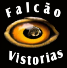 Falcão Vistorias